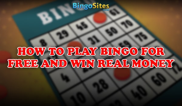 I want to play bingo online for free